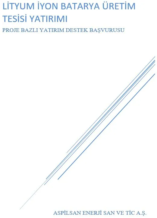 Cover of the feasibility report: Li-ion battery production plant
